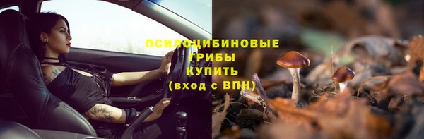 бошки Алзамай